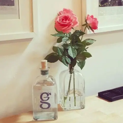 Graveney Gin