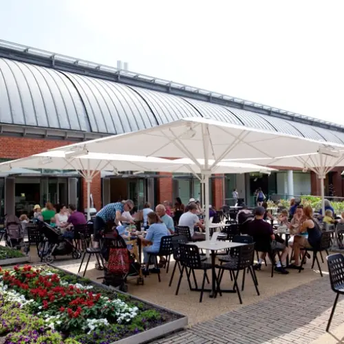 Horniman Museum Cafe