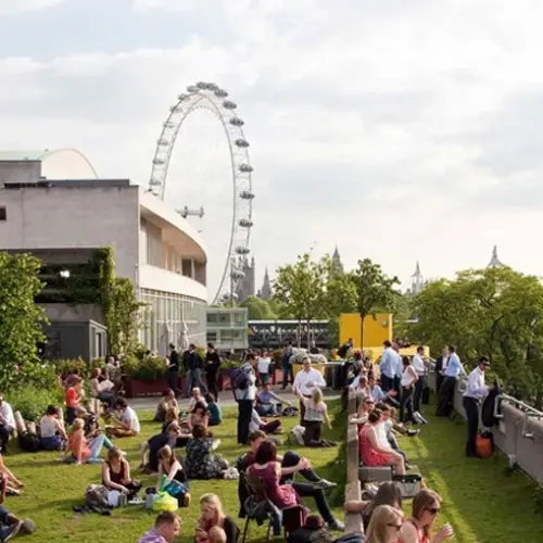 Queen Elizabeth Hall Roof Garden